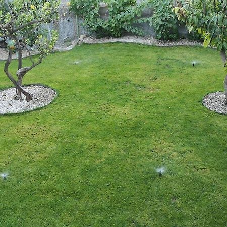 Souterrain Fuer Max 2 P., Bad, Aussenkueche, Garten Güimar Eksteriør billede