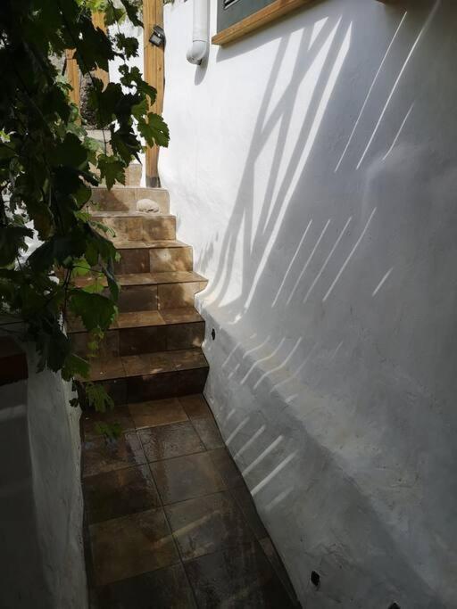 Souterrain Fuer Max 2 P., Bad, Aussenkueche, Garten Güimar Eksteriør billede