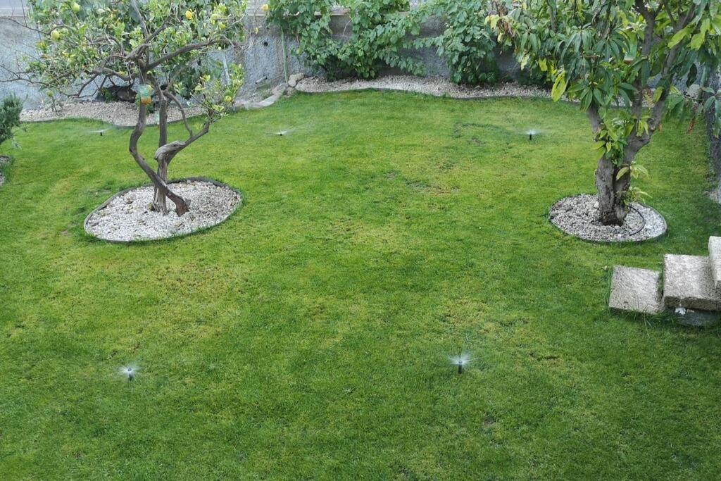Souterrain Fuer Max 2 P., Bad, Aussenkueche, Garten Güimar Eksteriør billede